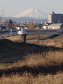 P1250049.jpg