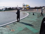 P1260010.jpg