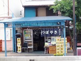 P6030005.jpg