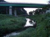 P8120008.jpg