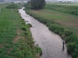P8250004.jpg