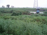 P9010003.jpg