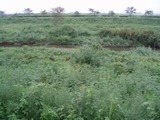 P9010005.jpg