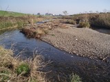 PB250029.jpg