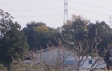 PB250047.jpg