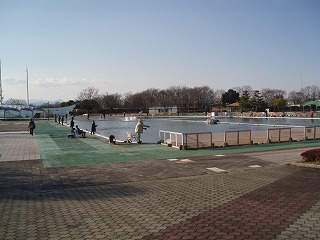 P1170049.jpg