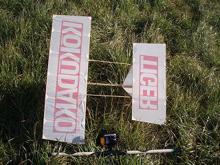 P1250098.jpg