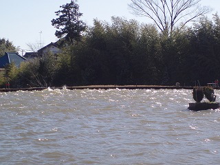 P2010018.jpg