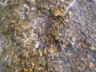 P2070005.jpg