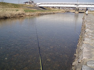 P2070008.jpg