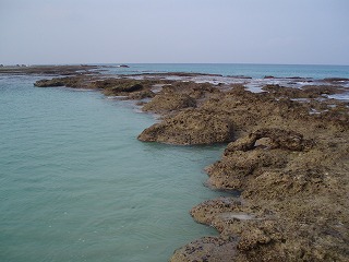 P5270095.jpg