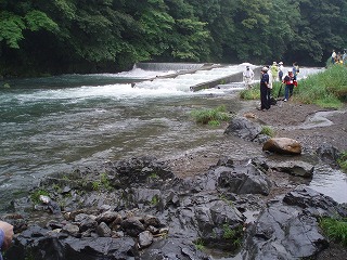 P6290072.jpg