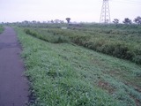 P9010002.jpg