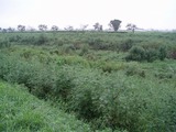 P9010004.jpg