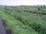 P9010006.jpg