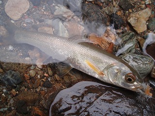 P9280002.jpg