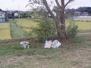 P9280012.jpg