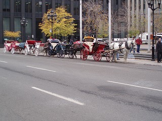 PA200029.jpg