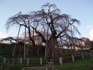 PB230128.jpg