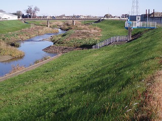 PB300016.jpg