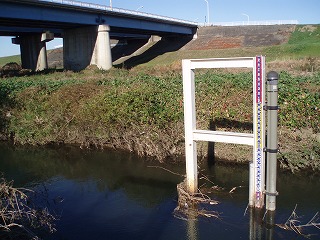 PB300021.jpg