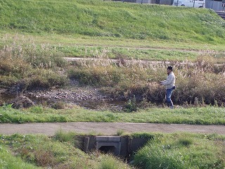 PB300036.jpg